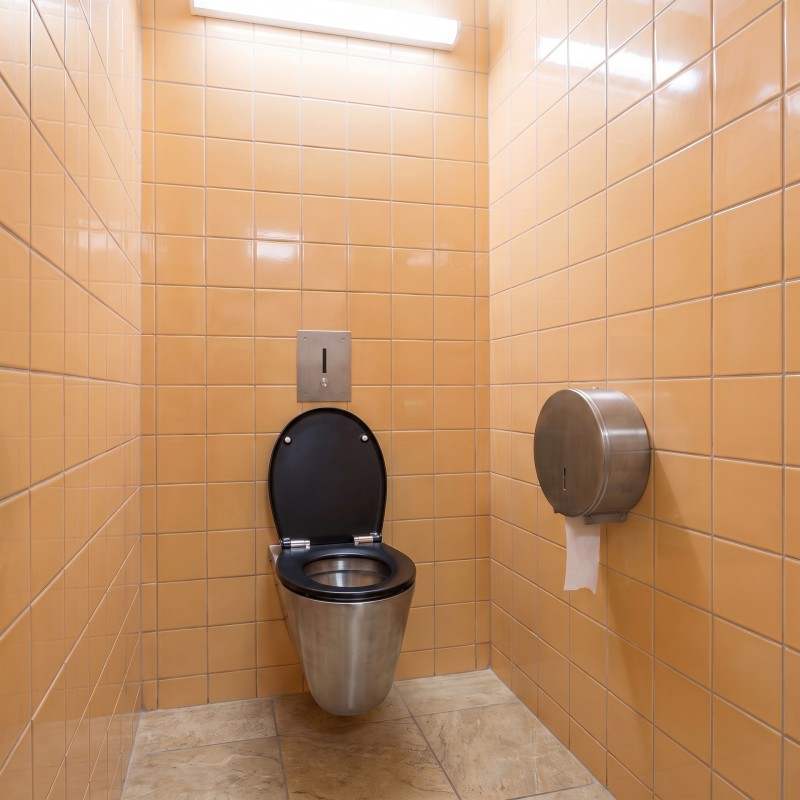I-CARO wall-hung toilet frame with AISI 316 stainless steel electronic flush plate