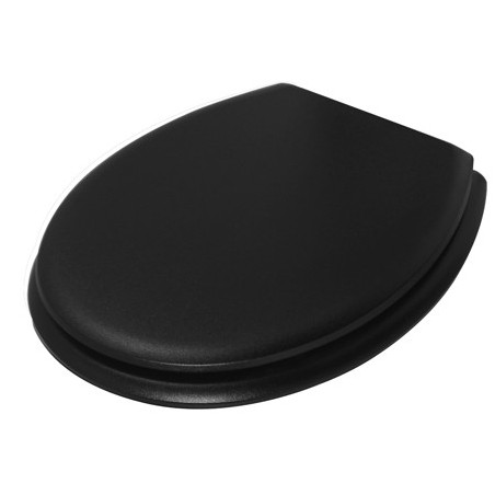 Black plastic toilet seat