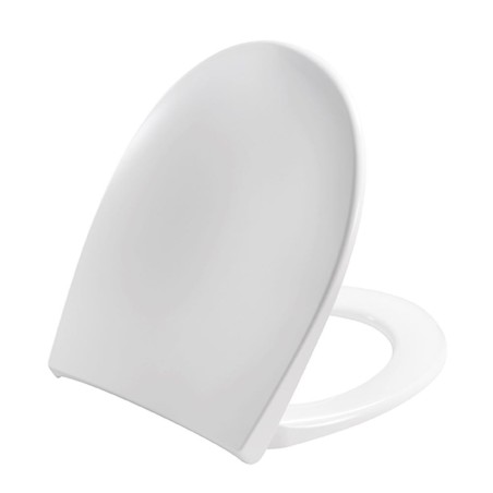 White toilet lid and seat