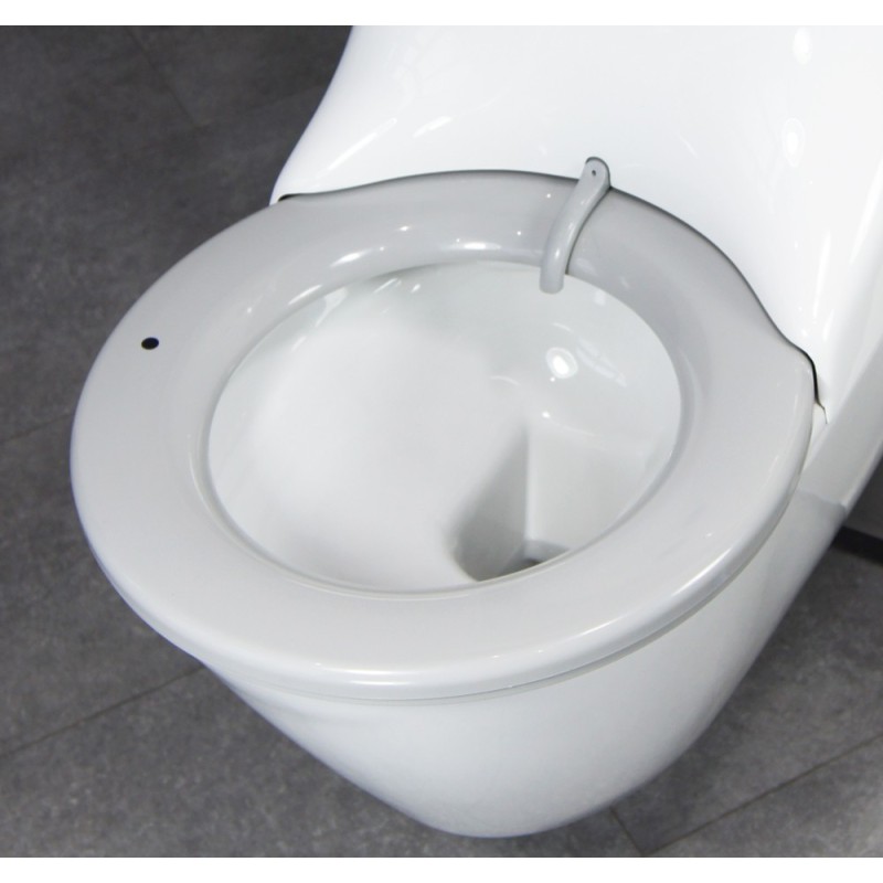 HYGISEAT self-cleaning toilet seat on rimless bowl