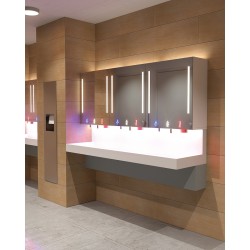 Miniature-3 Módulos de espejos para instalaciones sanitarias públicas de diseño limpio, ideales para un uso intensivo RES-850
