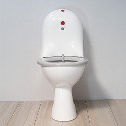 Floor-mounted automatic self-cleaning PRM WC for communities