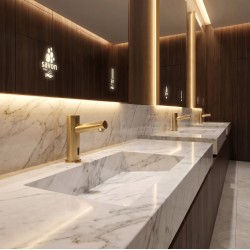 ELITE Faucet with matte gold PVD finish, pure design for public restrooms