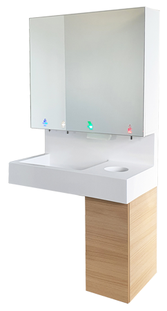 5in1 mirror and washbasin module
